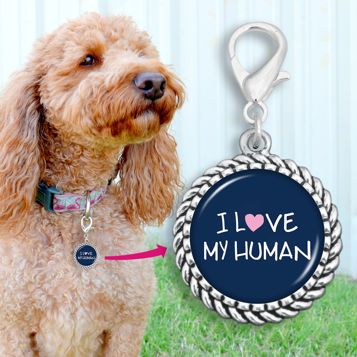 I Love My Human Pet Collar Charm