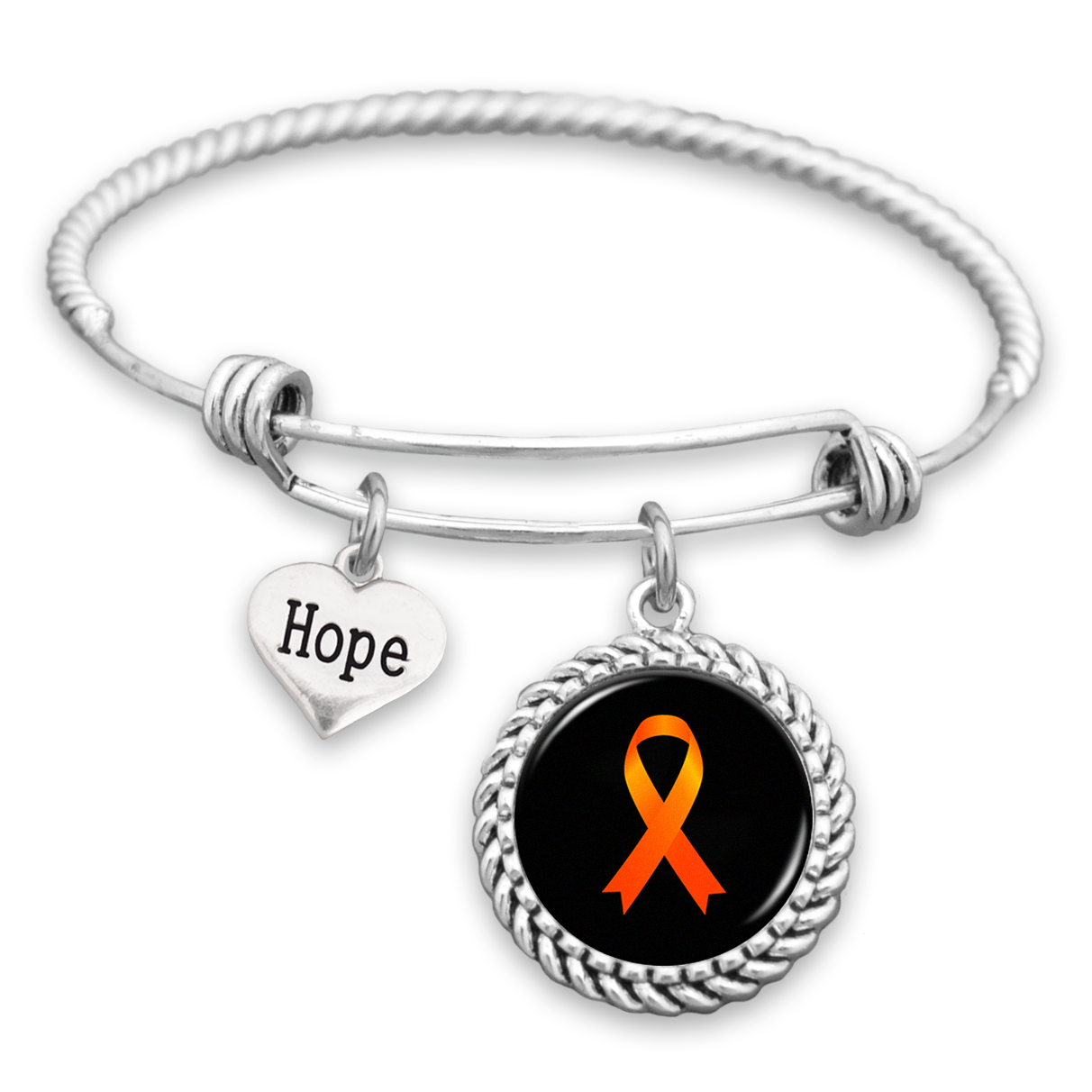 Leukemia or Multiple Sclerosis Awareness Ribbon Hope Charm Bracelet