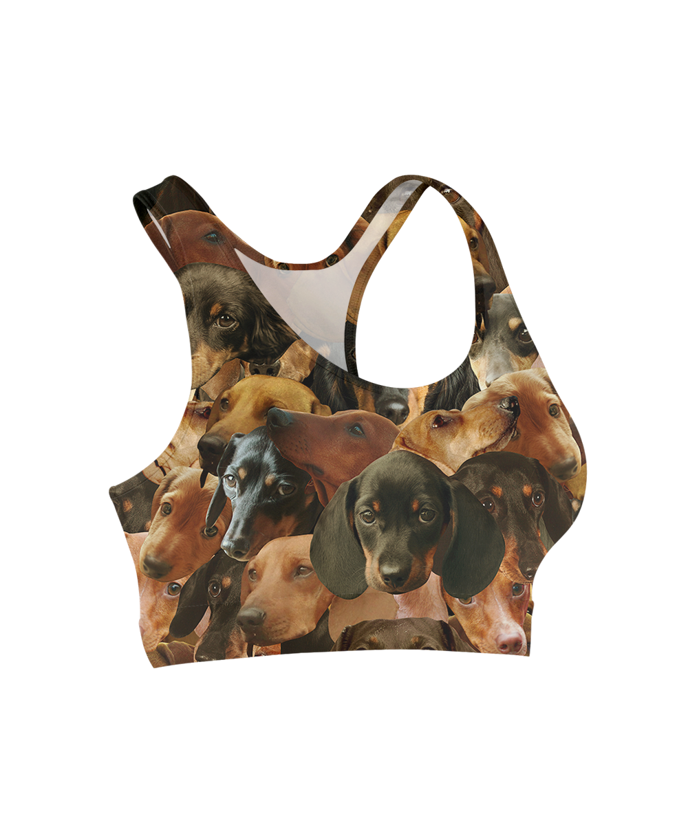 Doxies on Doxies on Dachshunds Sports Bra