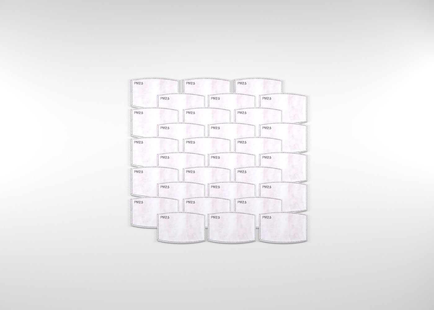 PM 2.5 Replacement Filters