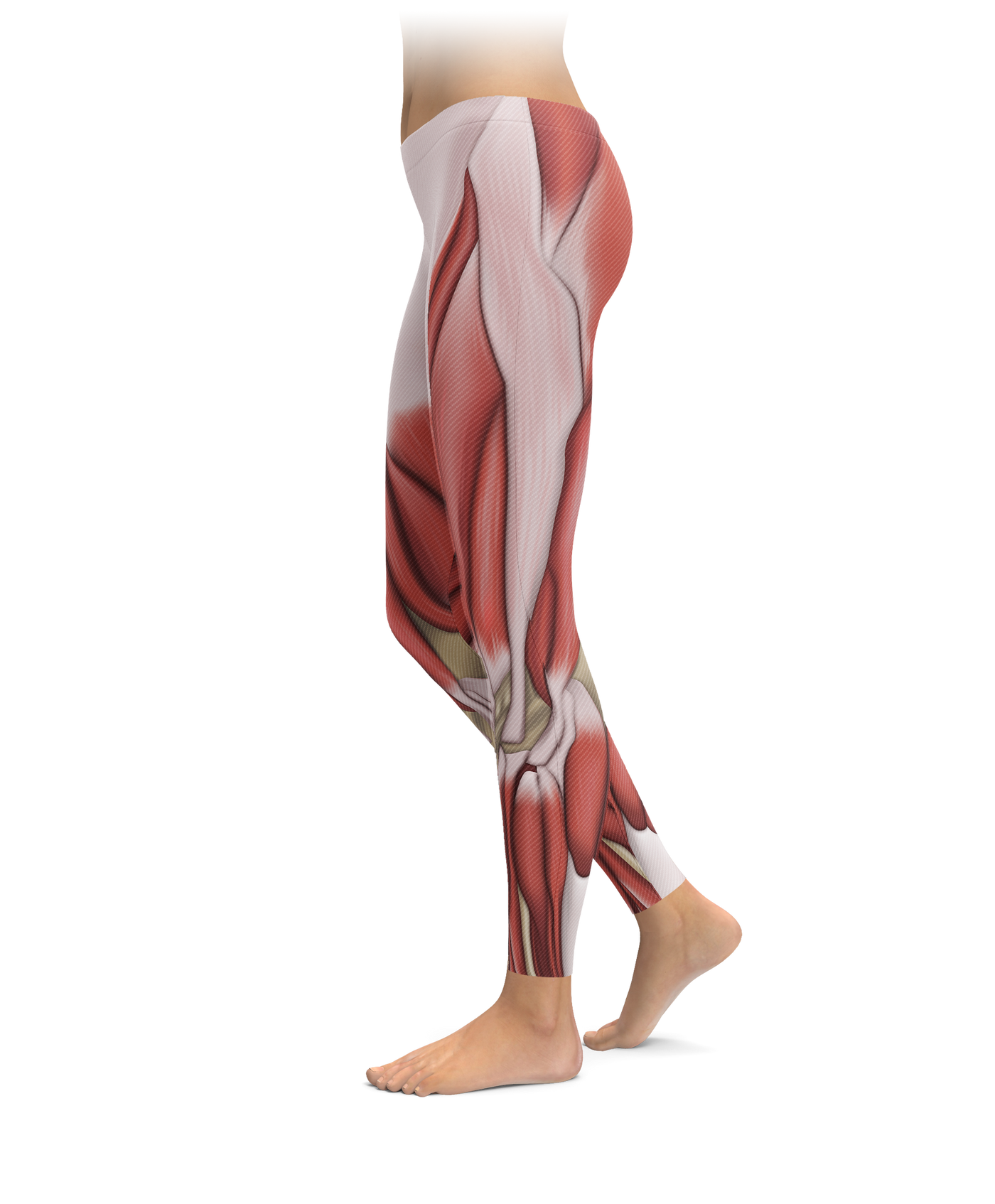 Muscle Tissue Leggings