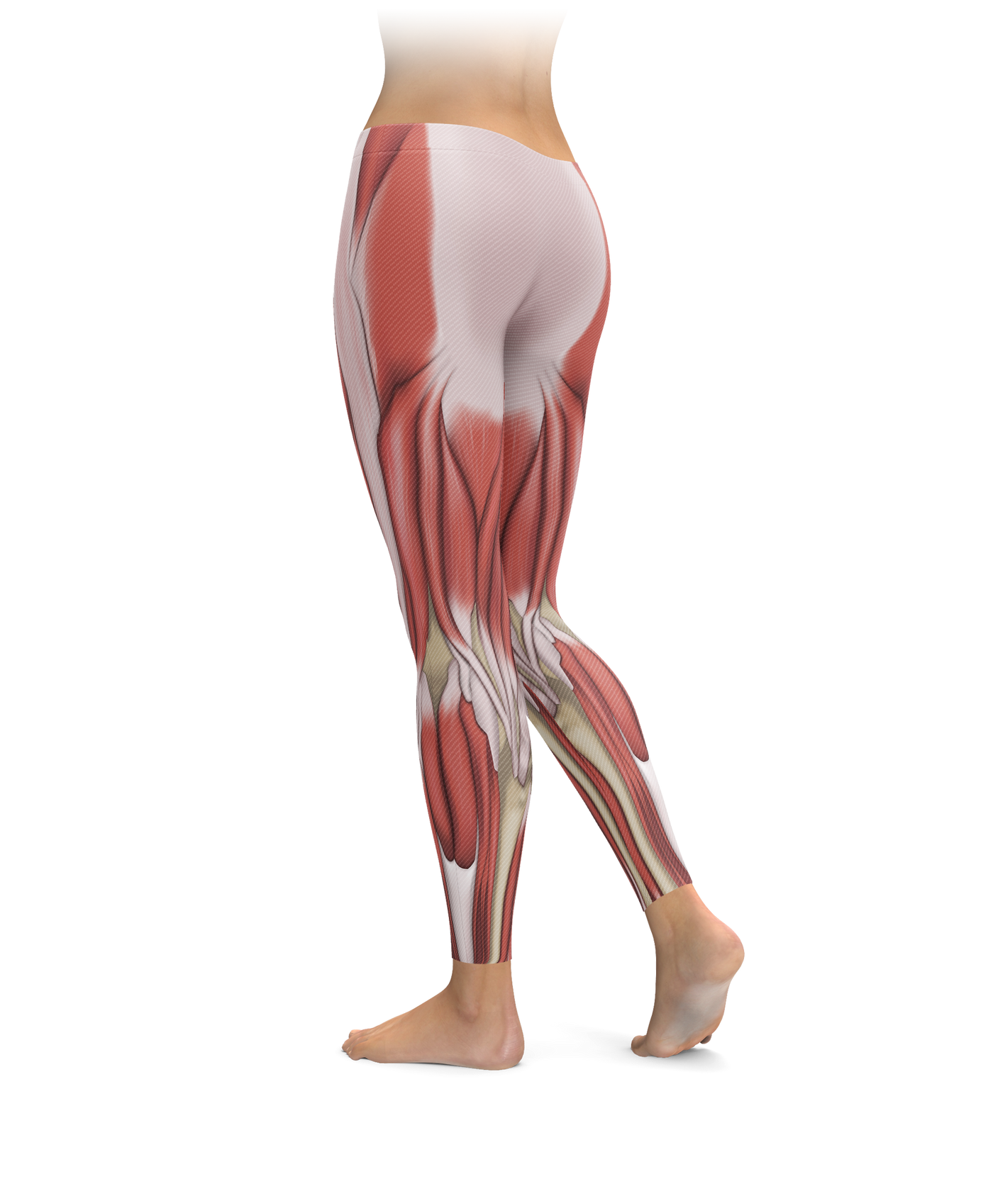 Muscle Tissue Leggings